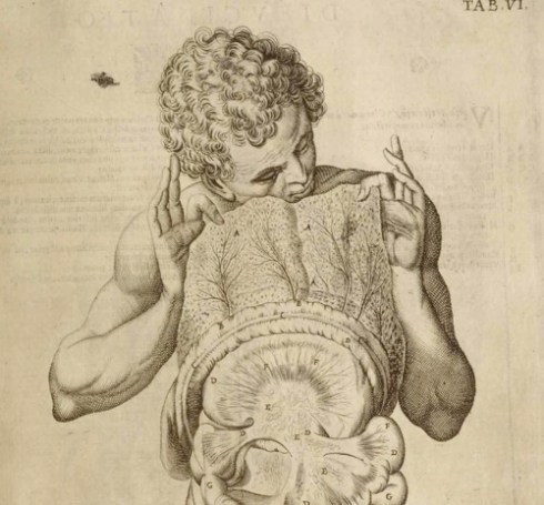 tumblr_lt3caueE7R1qze7sso1_500