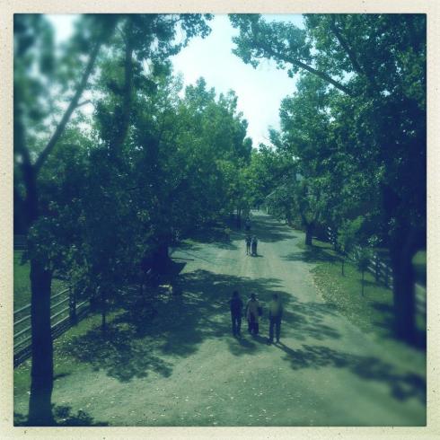 547238_10153255902800215_611179686_n