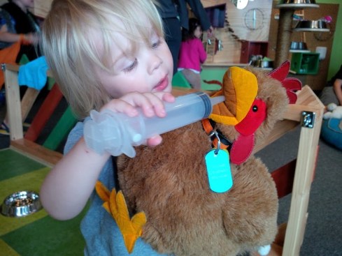 Giving medicine to the chicken.