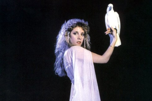 Witchy Woman and Fleetwood Mac star Stevie Nicks was crazy as a cockatoo in the 1980s - she's the poster child for saying no to drugs